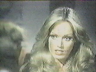 Susan Anton as Susan Williams