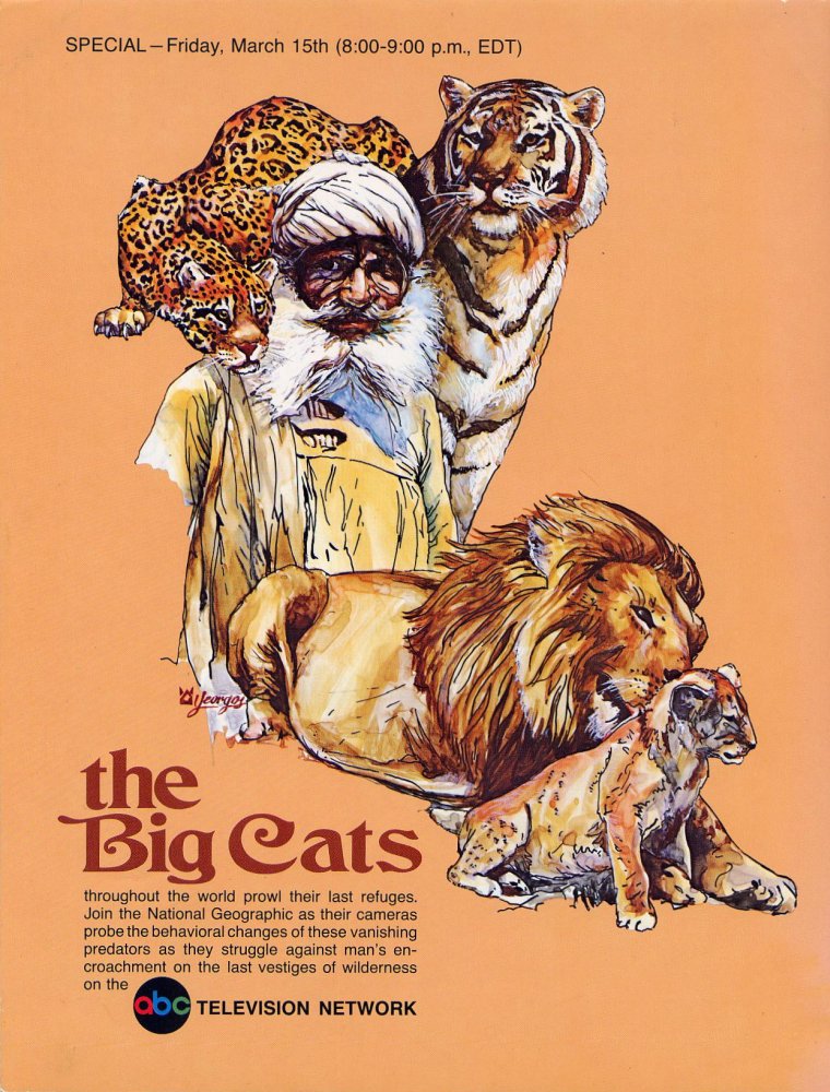 ABC Promotional Artwork - The Big Cats