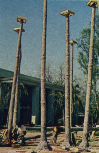 Fake Palm Trees