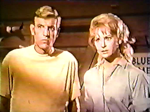 Jerry Van Dyke and Lois Nettleton as Jerry Webster and Susannah Kramer