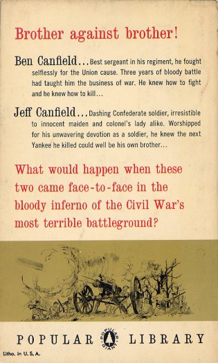 Scan of the back cover of The Americans TV tie-in novel.