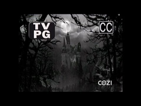 Example of Cozi TV On Screen Graphics