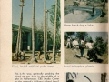 Building Gilligan’s Island (1 of 2)