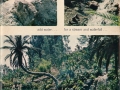 Building Gilligan’s Island (2 of 2)