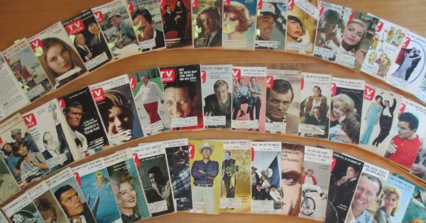 Looking Back on A Year in TV Guide