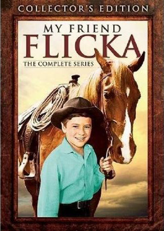 Cover to My Friend Flicka: The Complete Series on DVD