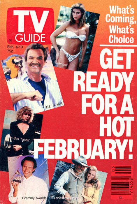 Scan of the front cover to the February 4th, 1989 issue of TV Guide magazine