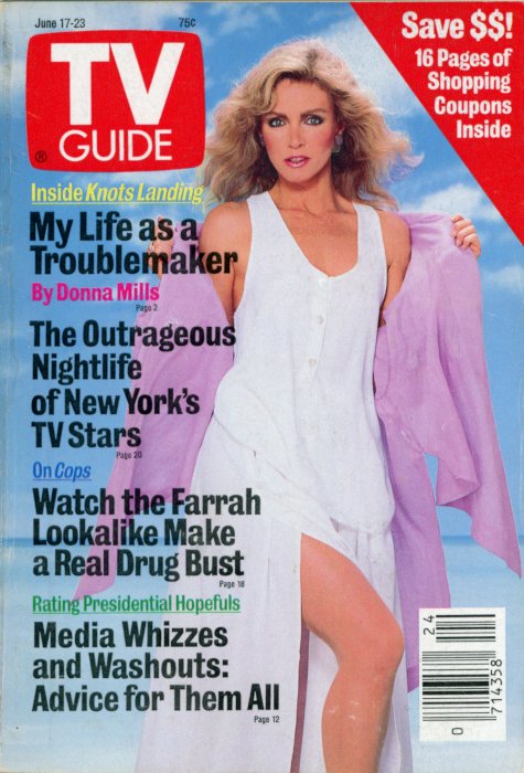Scan of the front cover to the June 17th, 1989 issue of TV Guide magazine