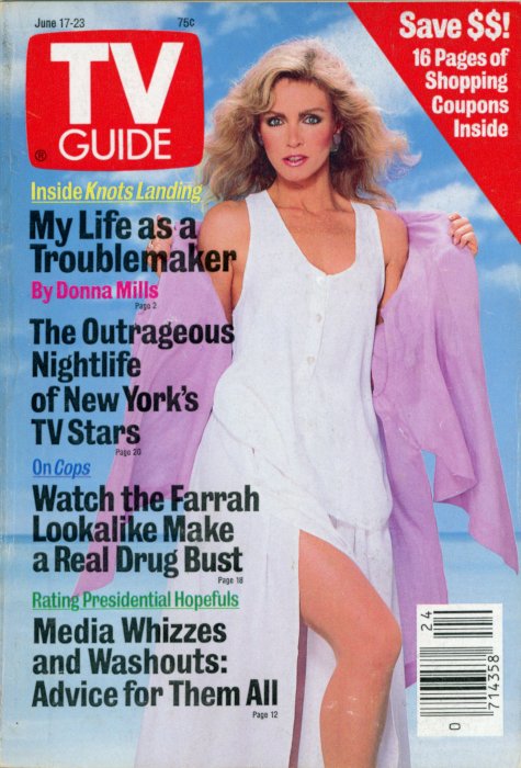 Scan of the front cover to the June 17th, 1989 issue of TV Guide magazine