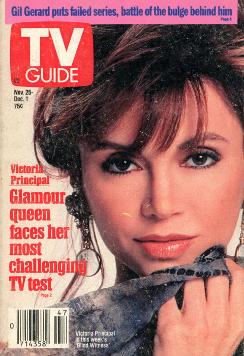 Scan of the front cover to the November 25th, 1989 issue of TV Guide magazine
